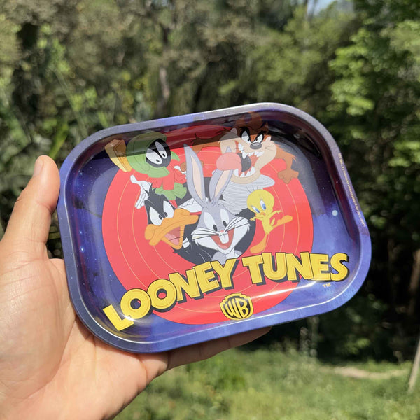 Bandeja de metal Looney Tunes – 18x14cm